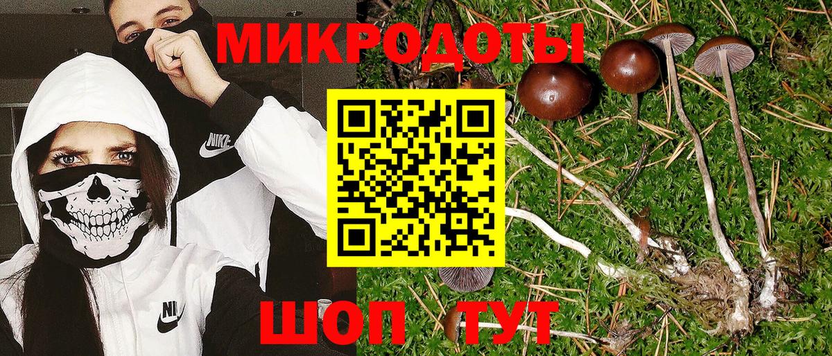 Галлюциногенные грибы ЛСД  где продают   Псилоцибиновые грибы Psilocybine cubensis  Щёлково  Вход с VPN 