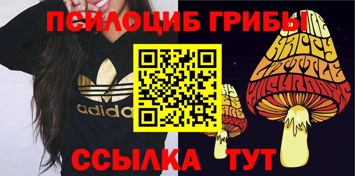 Псилоцибиновые грибы Psilocybe Щёлково